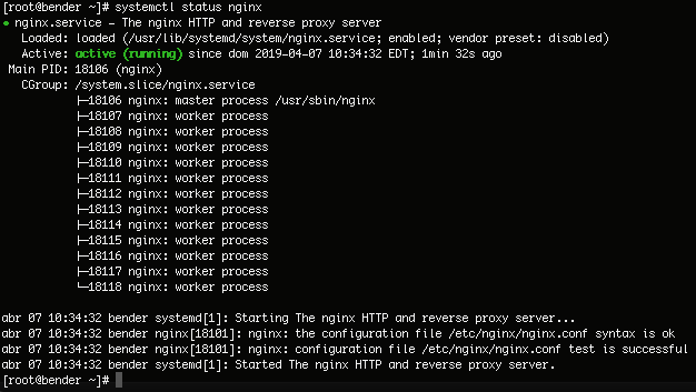 nginx active (running)